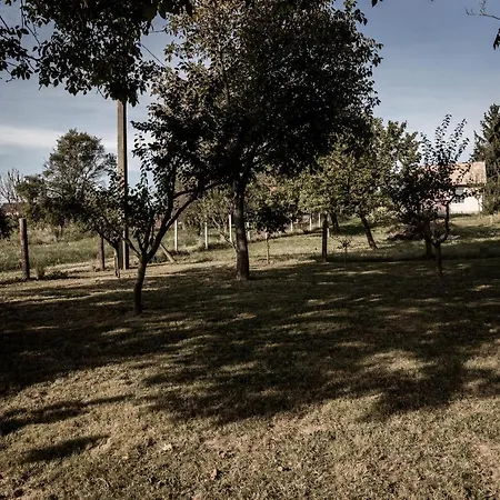 Szofi Porta Apartmán