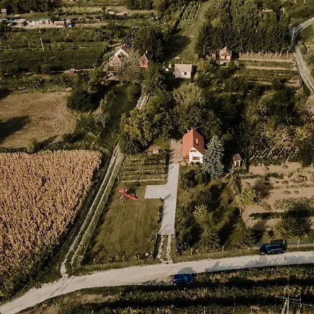 Szofi Porta * Marcali