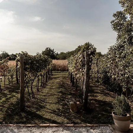 Διαμέρισμα Szofi Porta