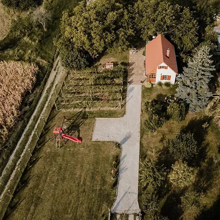 Szofi Porta *