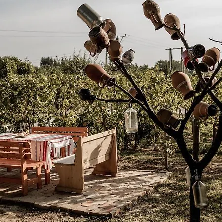 Διαμέρισμα Szofi Porta