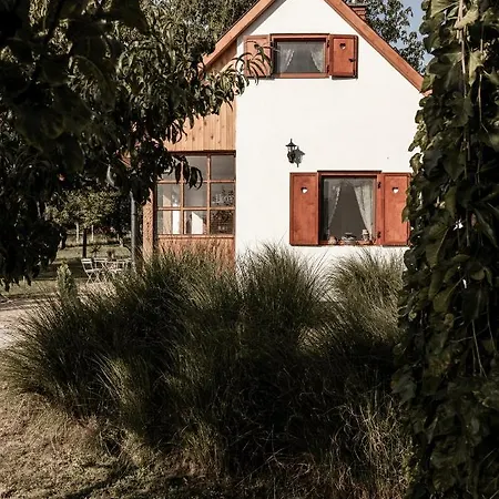 Szofi Porta *