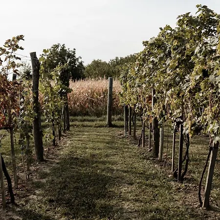 Szofi Porta Διαμέρισμα Marcali