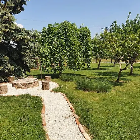 Szofi Porta Apartment
