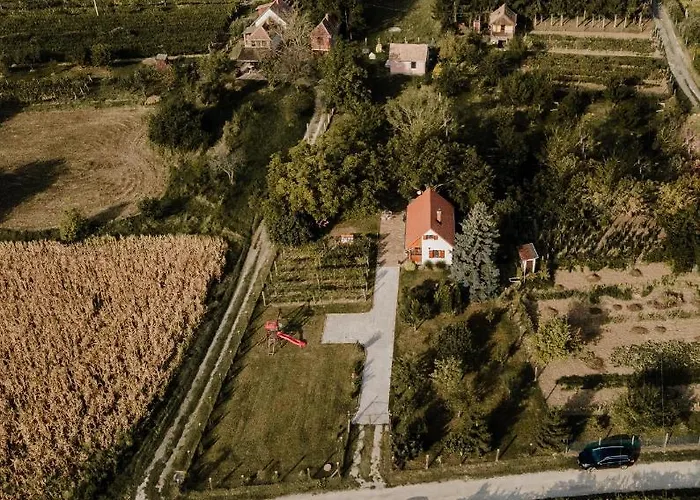 Szofi Porta * Marcali