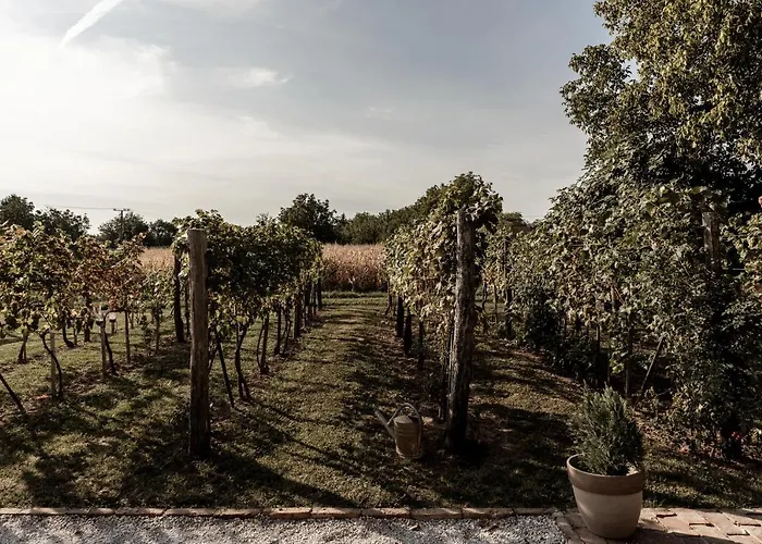 Apartamento Szofi Porta