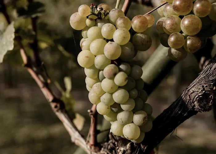 Szofi Porta Apartamento *