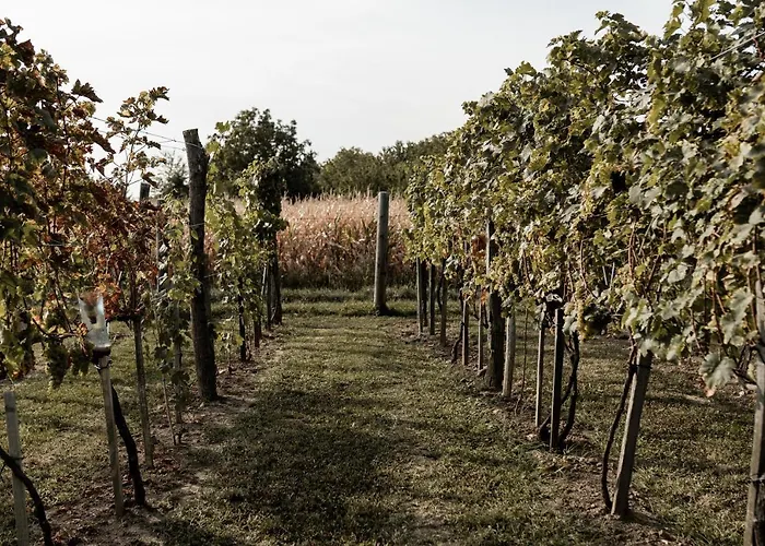 Szofi Porta Apartamento Marcali