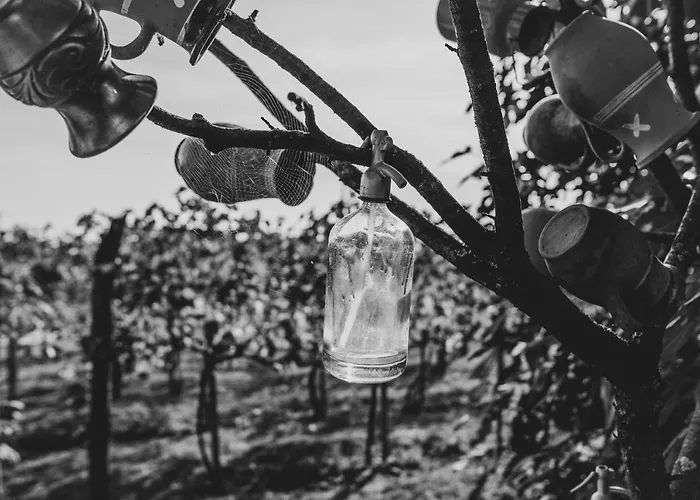 Apartamento Szofi Porta