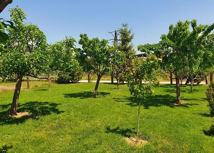 Apartamento Szofi Porta *